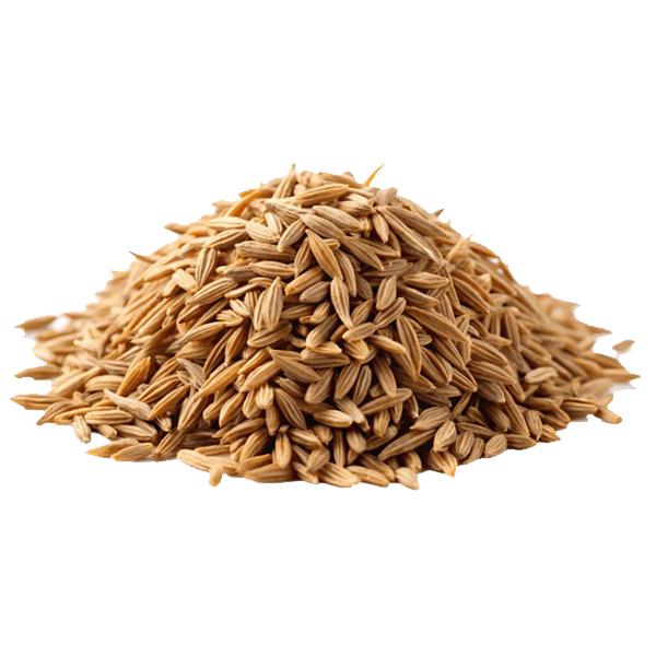 Cumin Seeds