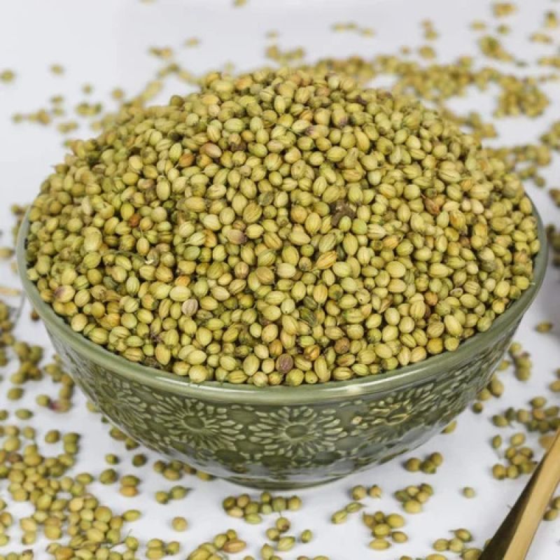 Scooter Coriander